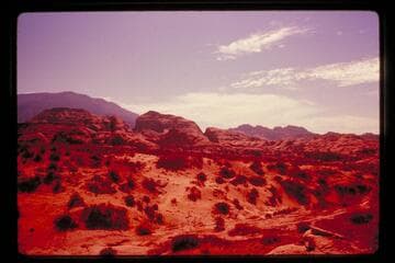 SSW toward Cha Butte