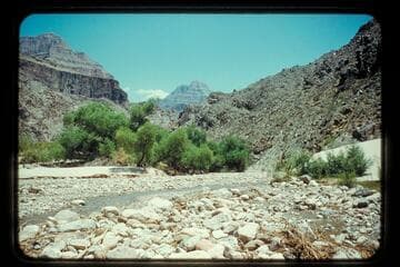 Mouth of Diamond Creek