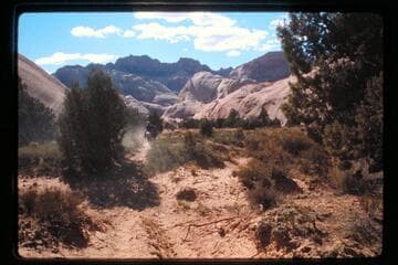 Rainbow Bridge Trail into Surprise Valley
