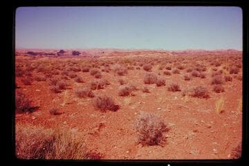 Toward mouth of San Juan River from trail north of Cha Butte