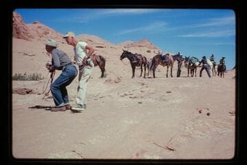 Photogs Masland and Atherton; divide Moepitz to 71.5