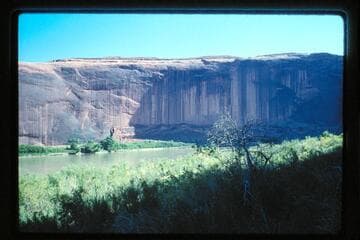Across to left bank above Halls Crossing