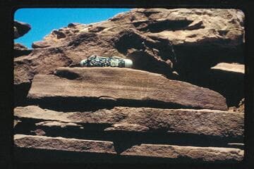 Julien at fort, Hite