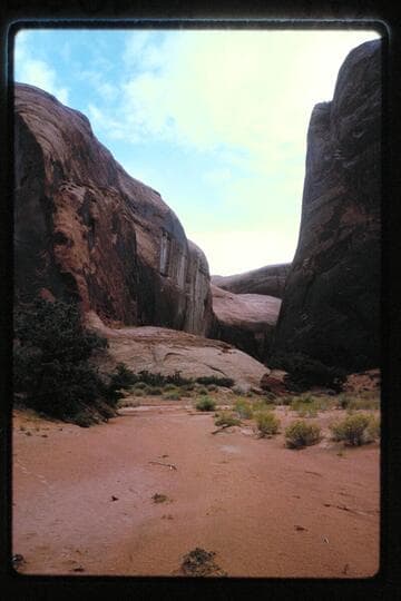 Mile 132.45, left bank