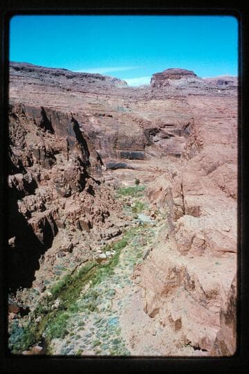 Up Wilson Canyon, camp