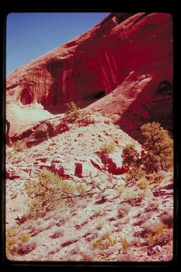 Cave in Bald Rock Creek