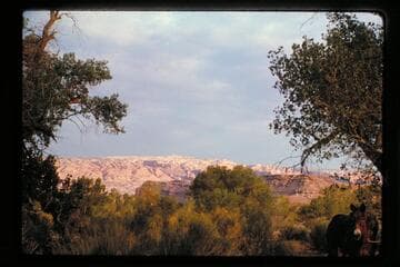 Morning on Waterpocket Fold from Halls Creek near airstrip