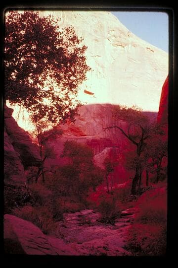 Near junction of Anasazi and Moepitz Canyons