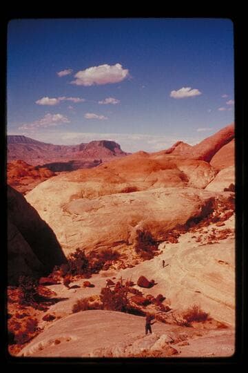 Trail from Black Water Creek to Moepitz