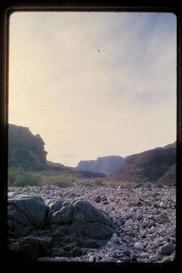 Down at 217 Mile Rapid