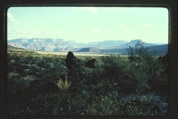 Down Queentoweap Valley