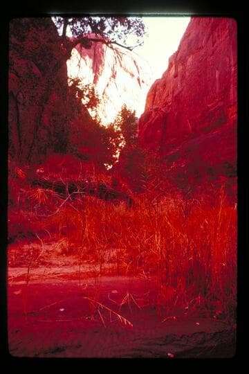 Junction, Anasazi and Moepitz Canyons
