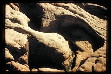 Just above mouth, 73