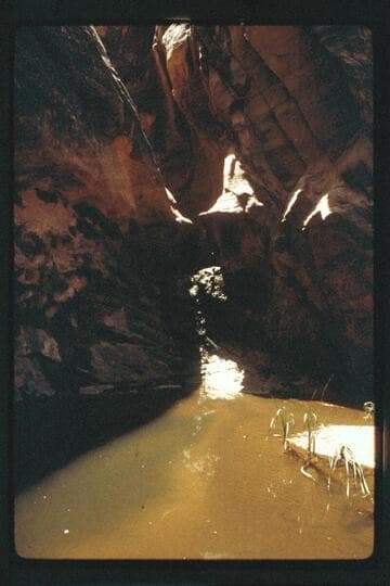 First drop in south fork above fault, 73