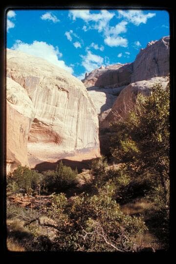 Head of middle fork of 73