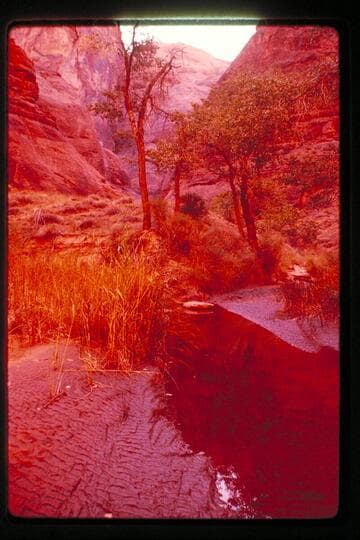 Junction, Anasazi and Moepitz