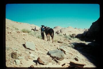 Trail out of Moipitz Canyon