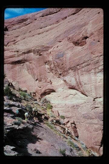 Trail in a joint east of Moepitz Airfield
