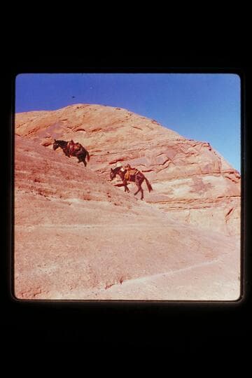 Trail between Moepitz Airfield and Butte 5014