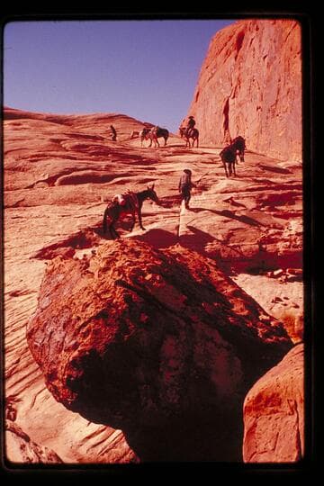 Trail between basin north of 5014 and Black Water Creek