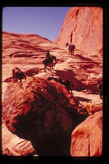 Trail between basin north of 5014 and Black Water Creek