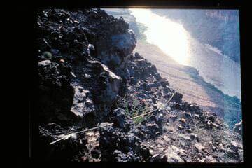 Bundy service station