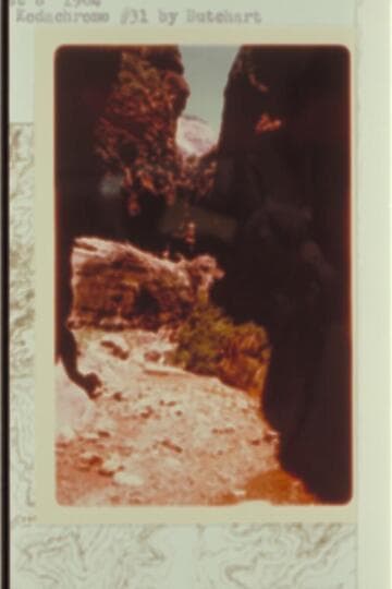 Tapeats Narrows in Crystal Creek