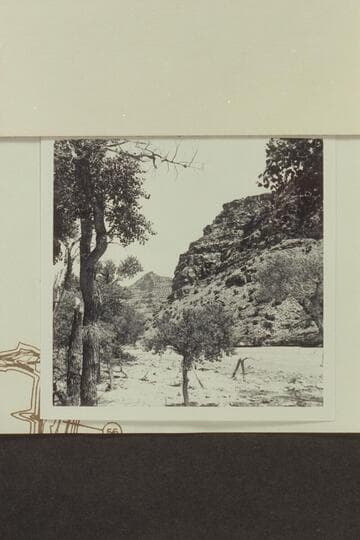 Up river at Mile 59.4, right bank