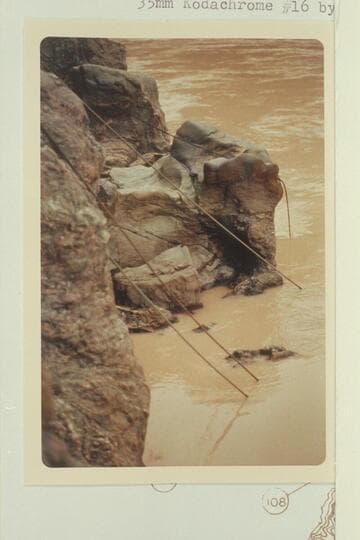 Cables for the Bass Cage dragging in the river