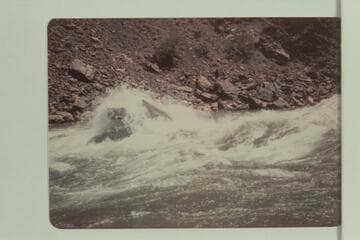 Dan taking his boat through Hermit Rapid