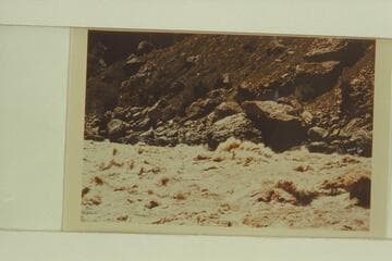 Jack Brennan in his outboard glass boat in Vulcan Rapid. The single outboard motor stopped during the run