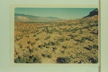 In Prospect Valley. Toroweap Valley and Vulcans Throne in distance. Mt. Trumbull upper center