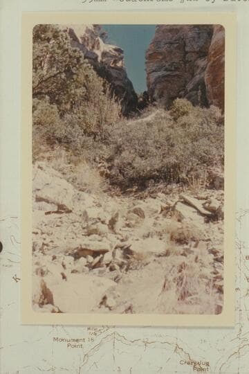 Through Coconino up to Big Saddle