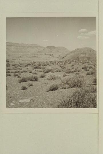 50 Mile Mountain and 60 Mile Point from platear at top of trail between the middle fork and southwest fork of 73.6. Similar to 599 GNCN 73.51.8