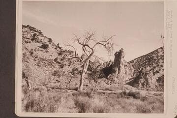 Mouth of Sage Creek in Whirlpool Canyon