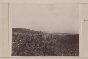 View into Mule Canyon from escarpment on the Shivwits Plateau. The table land on the left is the end of Grassy Mountain. In the distance, center is Mt. Emma. The Grand Canyon is to the right and out of the picture