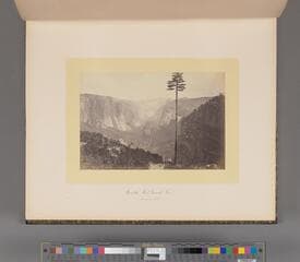 Go to image 19.
