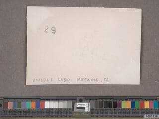 Go to image 232.