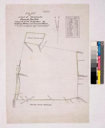 Exhibit A: Plat of a Part of the Rancho Paso de Bartolo conveyed to Eli W. Hawkins by Juaquna [sic] and Trenidad [sic] Moreno