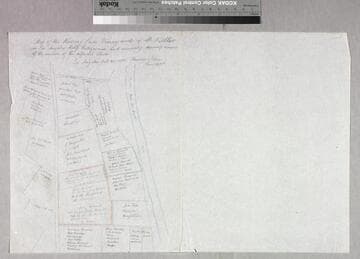 Map of the Rising Sun Vineyard of M. Keller. and vicinity