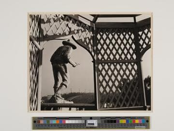 20th Century Fox, 'Graveyard'