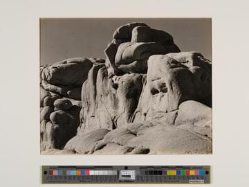 Joshua Tree, National Monument