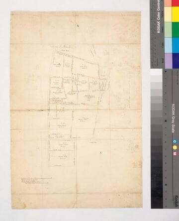 South Los Angeles : survey no. 131-141
