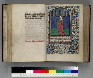 Book of Hours, use of Rouen : [manuscript]