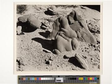 Sandstone Concretions, Salton Sea