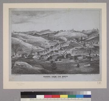 Sonora from The North