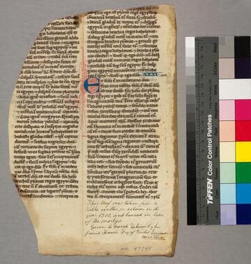 Folio Bible, fragment] ; [manuscript]