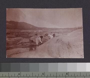 Unidentified working natives