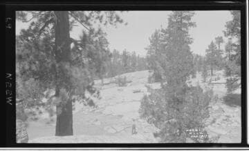 Big Creek Scenery - Sohier's investigation of future developments of Big Creek Project