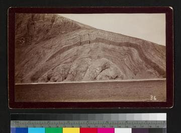 Coast showing rock strata